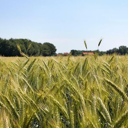 Landhaus Il Cavallino Sassenberg Ngoại thất bức ảnh